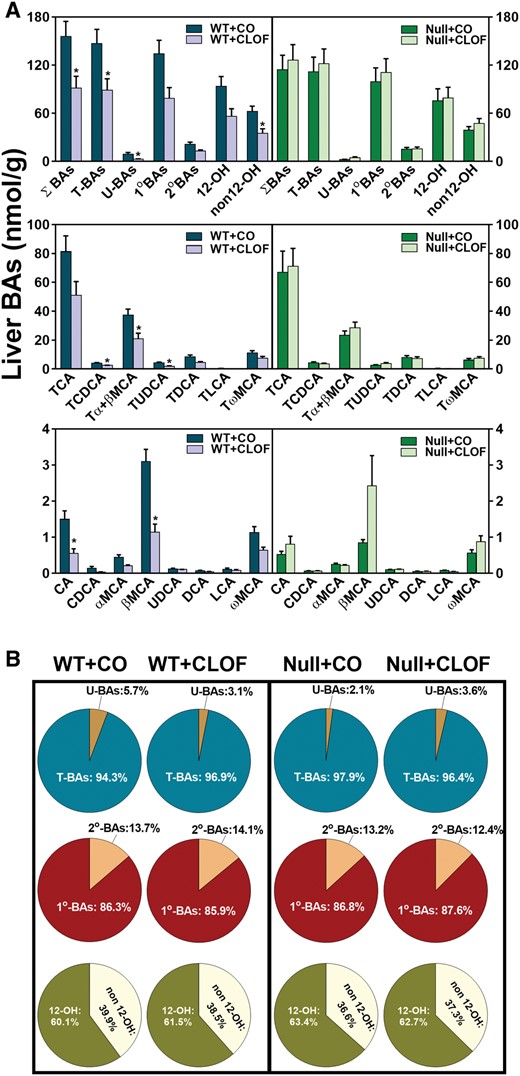 Effect of CLOF on concentrations of BAs in livers of male WT and PPARα-null mice. CO or CLOF (300 mg/kg) was administered daily (i.p.) for 4 consecutive days to male WT and PPARα-null mice (n = 6–8 per treatment group). A, Concentrations of ΣBAs and individual BAs were quantified by UPLC-MS/MS. Data represent means ± SEM (n > 5 per group). *p < .05 versus vehicle treatment group. B, The compositions of major BA categories were calculated as the percentage of ΣBAs. Data represent means (n > 5 per group).