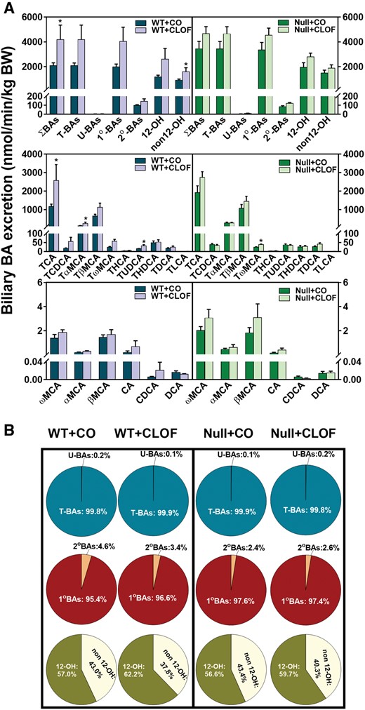 Effect of CLOF on biliary excretion of BAs in WT and PPARα-null mice. CO or CLOF (300 mg/kg) was administered daily (i.p.) for 4 consecutive days to male WT and PPARα-null mice (n = 6–8 per treatment group). A, BA concentrations in the bile were quantified by UPLC-MS/MS, and the excretion rate was normalized to BW. The biliary excretion of ΣBAs, total conjugated BAs, and total unconjugated BAs, calculated by summation of corresponding BAs. Data represent means ± SEM *p < .05 versus vehicle treatment group. B, The composition of major BA categories were calculated as the percentage of ΣBAs.