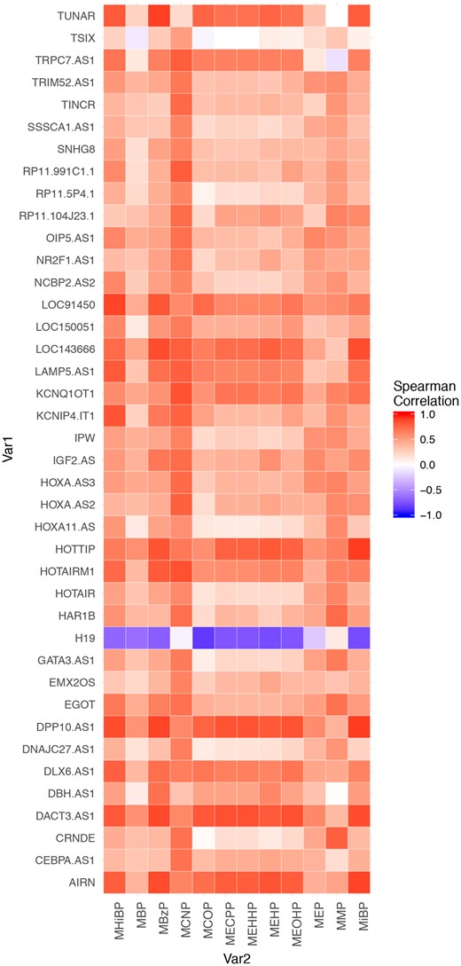 The Spearman correlation among prenatal urinary phthalates present in ≥70% of the samples and placental lncRNAs. Only lncRNAs that were highly negatively correlated (>−0.6) or highly positively correlated (>0.6) with at least 1 phthalate metabolite are present in this figure.