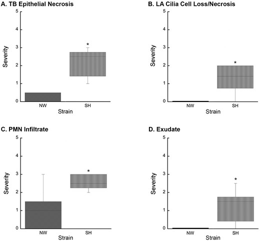Increased lung injury in SH rats resulting from O3 exposure. A, O3 exposure resulted in increased TB epithelial necrosis (p = .002) in SH rats compared to NW rats. B, O3 exposure-induced significant (p = .014) LA cilia cell loss/necrosis in SH rats, which was absent in NW rats. C, PMN leukocyte infiltration of the terminal bronchiole epithelium was significantly increased (p = .015) in O3-exposed SH rats compared to O3-exposed NW rats. D, O3 exposure resulted in increased exudate (p = .008) in SH rats compared to NW rats. Abbreviations: NW, normal Wistar rat; SH, spontaneously hypertensive rat; O3, ozone; TB, terminal bronchiole; LA, large airway; PMN, polymorphonuclear leukocyte; the Mann-Whitney test was used to calculate the difference between strains in response to each exposure. Values are shown as the means ± SEM by strain. *p < .05.
