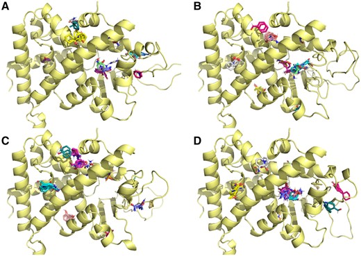 Solvent mapping of zebrafish Pxr models. Computational solvent mapping of small molecules binding to zebrafish Pxr model reveals different allosteric binding sites for the variant PxrAB/Tu (A), PxrTL (B), PxrSWT (C), and PxrUNK (D). Details about how solvent mapping was performed can be found in Materials and Methods section. For interpretation of the references to colour in this figure legend, the reader is referred to the web version of this article.