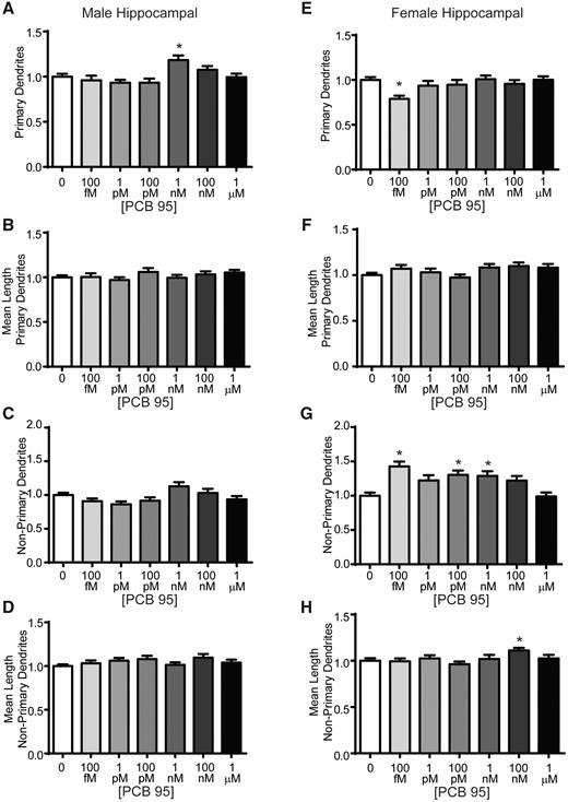 PCB 95 increases dendritic arborization of female hippocampal neurons via effects on nonprimary dendrites. Male (A–D) and female (E–H) mouse hippocampal neuron-glia cocultures were exposed for 48 h to vehicle (0.1% DMSO) or varying concentrations of PCB 95. Fold-change relative to sex-matched vehicle control was quantified with respect to: (A, E) the total number of primary dendrites; (B, F) mean length of primary dendrites (μm); (C, G) the number of nonprimary dendrites; and (D, H) the mean length of nonprimary dendrites (μm). Data are presented as mean ± SE (n = 33–93 neurons from at least 3 independent dissections). *Significantly different from vehicle control at p < .05, as determined using Kruskal-Wallis test followed by Dunn’s multiple comparison post hoc test.