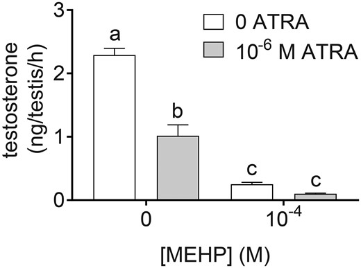 ATRA and MEHP reduced testosterone secretion from cultured testes. Testosterone was measured by ELISA in media from the third day of culture, representing secretion from 48–72 h following the initiation of the experiment, in media containing 10−4 M MEHP, 10−6 M ATRA, or 10−4 M MEHP + 10−6 M ATRA, or vehicle control. On the third day of culture, testosterone secretion was decreased in all treatment groups, relative to vehicle. MEHP and co-exposure groups had significantly lower testosterone than ATRA alone. All groups differed from each other, except for 10−4 M MEHP and the co-exposure. Groups not connected by the same letter are significantly different (p < .05) by 2-way ANOVA followed by Tukey’s multiple comparison test. ATRA (p < .0001), MEHP (p < .0001), and the interaction term (p = .0002) were all significant by 2-way ANOVA. n = 7–9 samples per treatment group and 25 vehicle samples.