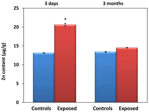 Mean Zn content (± SD) in the lungs of animals exposed to 1.93 × 106 ZnO NP/cm3 for 3 days and 3 months, respectively.