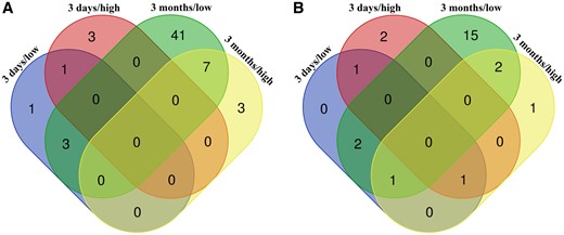 Venn diagrams reporting numbers of unique and common deregulated splice junctions (A) and respective genes (B) in the lungs after inhalation exposure to ZnO NP. Three days/low—exposure to 6.46 × 104 NP/cm3 for 3 days; 3 days/high—exposure to 1.93 × 106 NP/cm3 for 3 days; 3 months/low—exposure to 6.46 × 104 NP/cm3 for 3 months; 3 days/high—exposure to 1.93 × 106 NP/cm3 for 3 months.