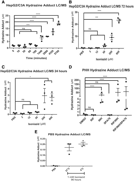 Detection of hydrazine after isoniazid administration. The LC/MS analysis of hydrazine adduct in HepG2/C3A cell culture medium at various times after treatment with a single dose of 200 µM isoniazid (A) and at 72 h (B) and 24 h (C) after treatment with various single isoniazid doses after 3 daily isoniazid doses. D, LC/MS analysis of hydrazine adduct in primary human hepatocyte (PHH) cell culture medium at 72 h after 3 daily doses of 200 µM isoniazid. E, LC/MS analysis of phosphate-buffered saline (PBS) after a 96-h incubation with 1 mM isoniazid at the indicated temperature. Hydrazine-adduct levels in HepG2/C3A cells and PBS are presented as the mean±SEM for 3 biological replicates. Hydrazine-adduct levels in PHHs are presented as the mean±SEM for 3 biological and 3 technical replicates. Two-way ANOVA followed by Tukey’s post hoc analysis was used to compare group means for LC/MS analysis of PHHs. One-way ANOVA followed by Dunnett’s post hoc analysis was used to compare group means for LC/MS analysis of HepG2/C3A cells and PBS. ****p < .0001; ***p < .001, *p < .05.