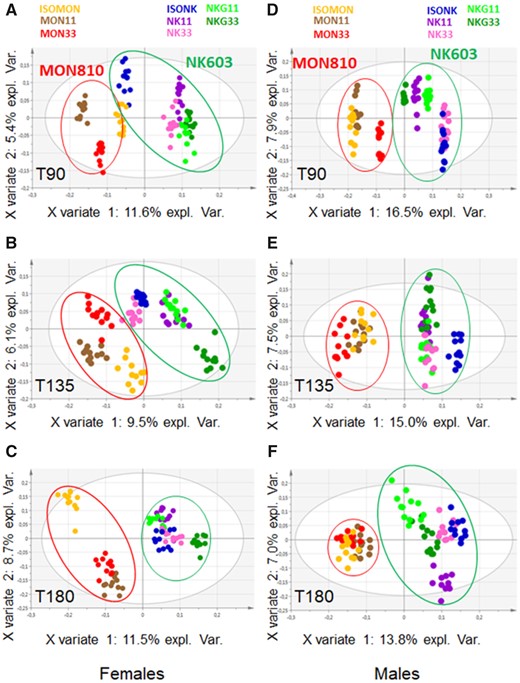 Partial least squares-discriminant analysis between 8 diets based on urine metabolome variables at T90 (A, D), T135 (B, E), and T180 (C, F); (A–C) females and (D–F) male rats. A clustering is observed on the x-axis with a clear separation between both MON810 (left) and NK603 (right) diets.