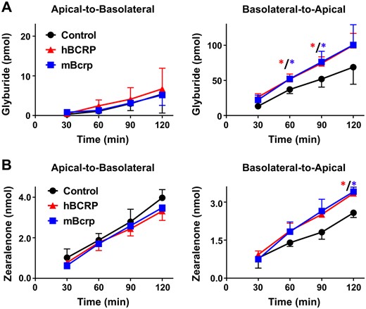 Transport of glyburide and zearalenone by MDCK cells in transwell cultures. MDCK cells grown on transwell inserts were assessed for translocation of (A) BODIPY-glyburide (1 μM) and (B) zearalenone (50 μM) across cell monolayers for 2 h as described in the Materials and Methods. Data represent the mean pmol detected in the receiver compartment ± SD (n = 3 independent experiments). Asterisks (*) represent statistically significant differences (p < .05) compared with control cells.