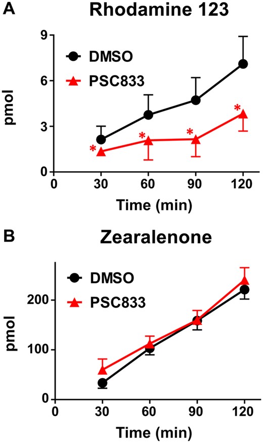 Basolateral-to-apical transport of zearalenone and Rhodamine 123 in MDCK cells in the presence of a MDR1 inhibitor. Control MDCK cells grown on transwell inserts were assessed for translocation of (A) the MDR1 substrate Rhodamine 123 (10 μM) and (B) zearalenone (50 μM) across cell monolayers for 2 h as described in the Materials and Methods. PSC833 (5 μM) was used as a pharmacological inhibitor of MDR1. Data represent the mean pmol detected in the receiver compartment ± SD (n = 3–4). Asterisks (*) represent statistically significant differences (p < .05) compared with control cells.