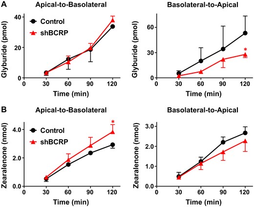 Transport of glyburide and zearalenone by BeWo cells in transwell cultures. BeWo cells grown on transwell inserts were assessed for translocation of (A) BODIPY-glyburide (1 μM) and (B) zearalenone (50 μM) across cell monolayers for 2 h as described in the Materials and Methods. Data represent the mean pmol detected in the receiver compartment ± SD (n = 3 independent experiments). Asterisks (*) represent statistically significant differences (p < .05) compared with control cells.