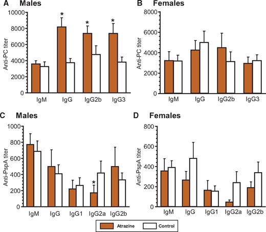 Serum anti-Streptococcus pneumoniae antibody levels 10 days after immunization with heat-killed S. pneumoniae (HKSP) vaccine. Offspring were immunized with HKSP as described and subtype-specific anti-HKSP antibody assays were performed using serum harvested 10 days after immunization. Anti-PC (A and B) and anti-PspA (C and D) antibody was quantified using an ELISA technique (see Materials and Methods), which measured HKSP-specific subtype antibodies. The averages (bars) and SEM for each antibody subtype are shown and the numbers of mice (and the number of litters they were derived from) appear in columns in Supplementary Table 3. Values significantly different between the control animals and the atrazine-exposed animals at p ≤ .05 are designated by an asterisk.
