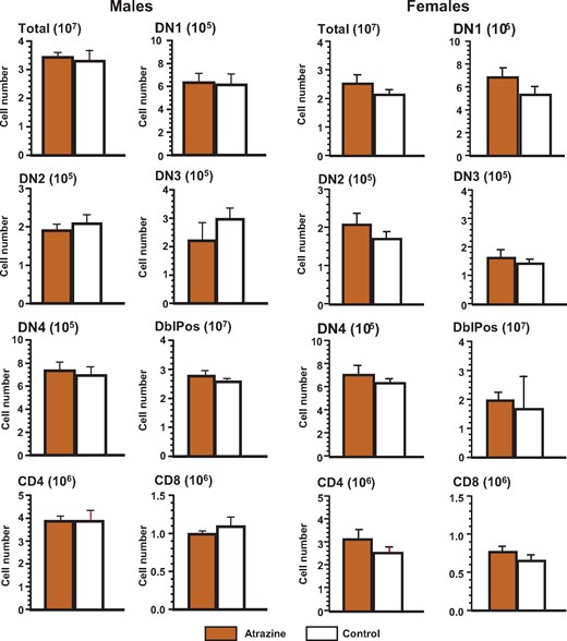 Phenotype of the thymocytes of the offspring after pre/postnatal atrazine exposure at 6 months of age. Single cell suspensions of thymocytes were made using standard techniques as described and stained with the appropriate fluorochrome-conjugated antibodies to quantify the cell type indicated. The fluorochrome-antibody combinations are listed in Supplementary Table 1. The averages (bars) and SEM are shown and the numbers of mice (and the number of litters they were derived from) appear in columns in Supplementary Table 6. The figure ordinate provides the number of cells of the listed phenotype and the scale multiplier is provided in parenthesis with the figure title.