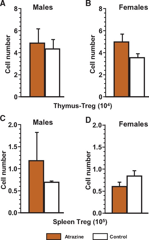 Number of regulatory T thymocytes (A and B) and regulatory T splenocytes (C and D) of the offspring after pre/postnatal atrazine exposure at 6 months of age. Single cell suspensions of thymocytes and splenocytes were made using standard techniques as described. These cells were stained with the appropriate fluorochrome-conjugated antibody (Supplementary Table 1) to quantify the cell type indicated as listed in Supplementary Table 2. The averages (bars) and SEM are shown and the numbers of mice (and the number of litters they were derived from) appear in columns in Supplementary Table 7. The figure ordinate provides the number of cells of the listed phenotype and the scale multiplier is provided in parenthesis with the figure title.