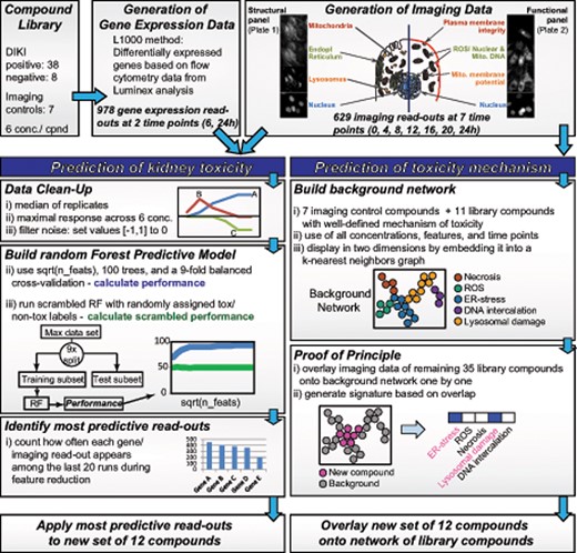 Overview of data generation and prediction model construction.