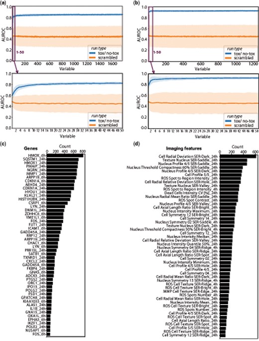 Performance of Random Forest-based predictive model. Recursive feature elimination of 978 genes (A) and 629 imaging read-outs (B) at two time points. Results at each round of feature reduction are derived from the performance of 100 trees and are shown as average area under the receiver operating characteristic (AUROC) curve as lines with standard deviation as band. Identification of most predictive genes and imaging read-outs. Bar graphs display ranking of most predictive genes (C) and imaging features (D) based on the number of appearances among the last 20 features during recursive reduction shown as counts.