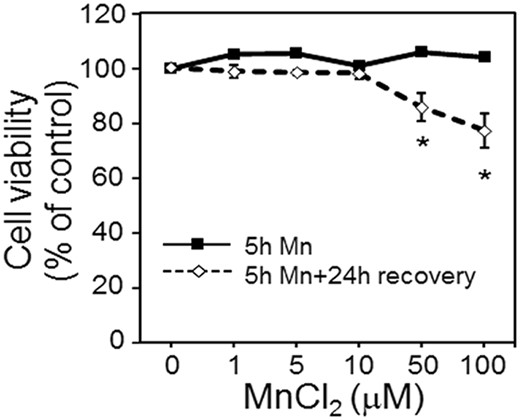 Cell viability at 5 h Mn treatment and 24 h post recovery. Viability of cells treated with 0, 1, 5, 10, 50, and 100 μM Mn concentration for 5 h is represented by the solid black line. At the end of 5 h, media including Mn was removed, cells washed 3 times and fresh growth media was added. Cell viability determined after 24 h recovery period is depicted by the dotted line. Data are expressed as the percentage of viable cells compared with no Mn treatment (mean ± SEM, n = 3 per treatment group).