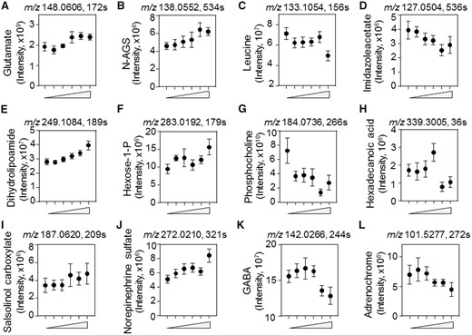 Key discriminatory metabolites plotted from the significantly enriched metabolic pathways altered by dose-dependent Mn concentration. A–L, The raw intensity of the representative metabolites with respect to Mn concentration (from left to right, 0, 1, 5, 10, 50, 100 µM) is plotted. Metabolites such as glutamate (A) N-acetyl glutamate semialdehyde (B), leucine/isoleucine (C), and 4-imidazoleacetate (D) from the amino acid pathway; dihydrolipoamide (E), hexose 1-phosphate (F), phosphocholine (G), and hexadecanoic acid (H) from energy metabolism; and salsolinol-1-carboxylate (I), sulfate derivative of norepinephrine (J), GABA (K), and adrenochrome (L) from the neurotransmitter pathway. The raw intensity for additional metabolites altered by Mn from these pathways are plotted in Supplementary Figure 1. (p < .05, mean ± SEM, n = 9 per treatment group).
