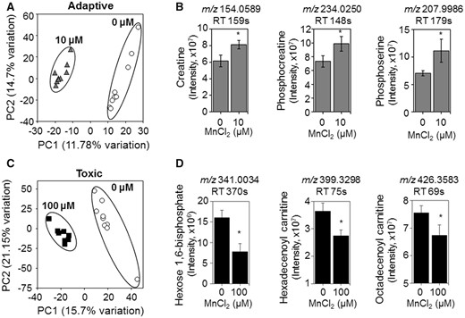 Metabolites and metabolic pathways representative of adaptive versus toxicological Mn content. A, PLS-DA score plot shows separation between control and 10 μM Mn-treated groups along principal component 1 and 2 which account for a 26.48% of the total variation for adaptive Mn concentration. B, Representative metabolites accounting for this separation including creatine, phosphocreatine, and phosphoserine are shown with bar graphs. C, PLS-DA score plot shows separation between control and 100 μM Mn-treated groups along principal component 1 and 2 which account for 36.85% of the total variation for toxicological Mn concentration. D, Representative metabolites accounting for this separation including hexose 1,6-bisphosphate, hexadecenoyl carnitine and octadecenoyl carnitine shown with bar graphs (mean ± SEM, n = 9 per treatment group). *p < .05.