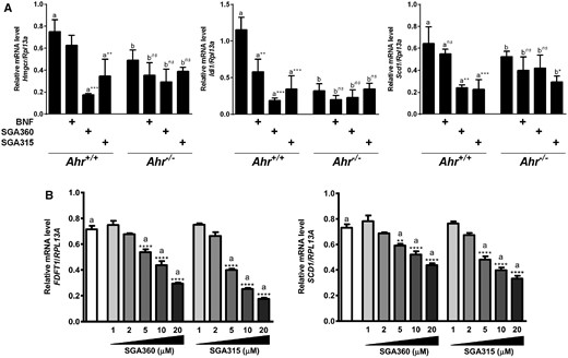 Selective AHR ligand-mediated repression of gene expression is mediated through AHR. A, Wild-type or Ahr-deficient primary mouse keratinocytes were treated with AHR ligands SGA360 (10 µM) or SGA315 (10 µM) for 16 h, and gene expression was analyzed by qRT-PCR. B, SEB-1 cells were treated with the indicated concentrations of SGA360 or SGA315 for 8 h in media containing delipidated serum, and mRNA levels were determined by qRT-PCR analysis. Data are presented as mean ± SD, n = 3; significance was determined by one-way ANOVA.