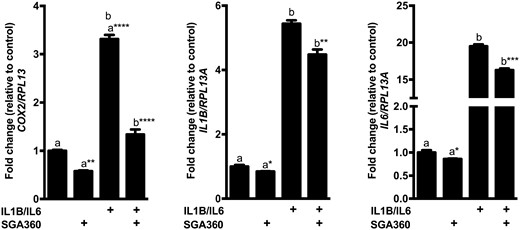 Selective AHR activation attenuates expression of proinflammatory genes in SEB-1 cells. SEB-1 cells were pretreated with SGA360 (10 µM) for 1 h, followed by human proinflammatory cytokines IL1B (10 ng/ml) and IL6 (10 ng/ml) for 6 h. Gene expression was assessed by qRT-PCR analyses. Data are presented as mean ± SD, n = 3; significance was determined by one-way ANOVA.