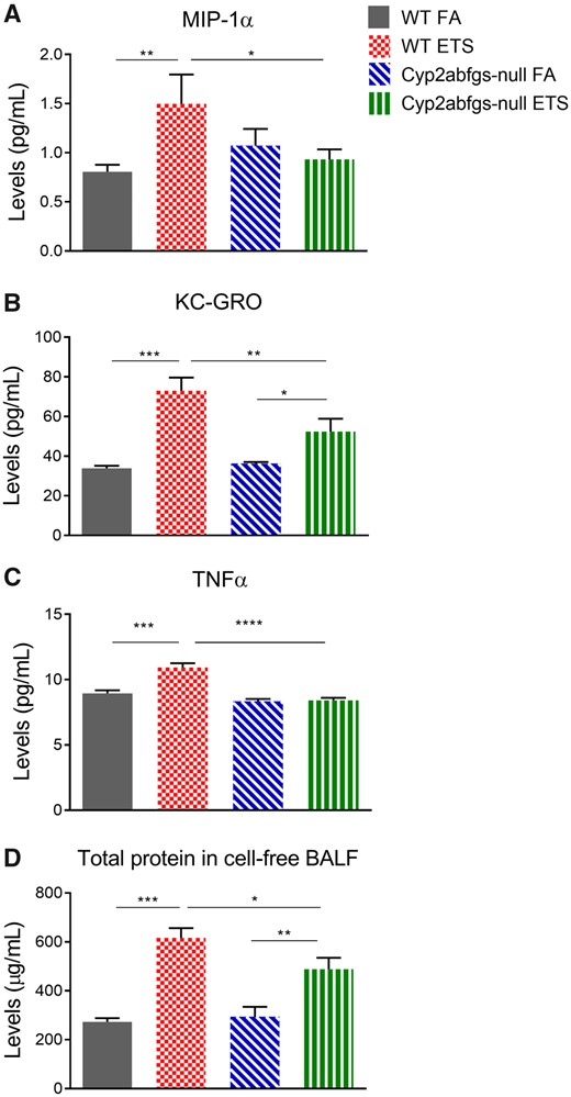 Levels of proinflammatory cytokines, chemokines, and total protein in cell-free bronchoalveolar lavage fluid (BALF) following acute ETS inhalation. Levels of macrophage inflammatory protein-1 alpha (MIP-1α) (A), keratinocyte chemoattractant-growth regulated oncogene (KC-GRO) (B), and tumor necrosis factor alpha (TNF-α) (C), as well as total protein (D), were measured in cell-free BALF collected from wildtype (WT) and Cyp2abfgs-null mice (adult female) that have been exposed daily to filtered air (FA) or ETS for 1 week as described in Materials and Methods section. Bronchoalveolar lavage was performed 24 h after completion of the last exposure. Cells were removed from BALF by centrifugation. Data represent means ± SD (n = 3). *p < .05, **p < .01, ***p < .001, ****p < .0001 (two-way ANOVA, followed by Tukey’s multiple comparisons test).