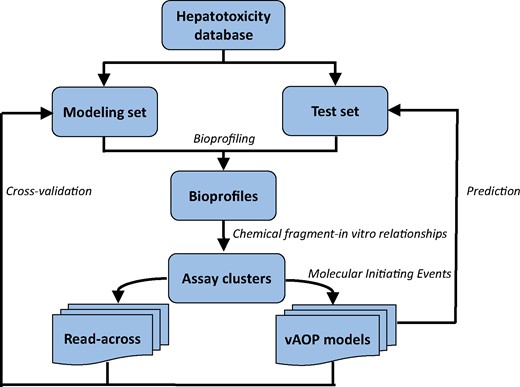 Virtual Adverse Outcome Pathway (vAOP) read-across workflow.