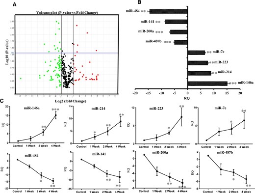 Global expression profiling of miRNAs in brain of rats exposed with rotenone (2.5 mg/kg b.wt) for 4 weeks. A, Volcano plot analysis of global miRNA profile in brains of 1‐year‐old rats exposed with rotenone versus vehicle control for 4 weeks. B, Relative quantification (RQ) of top 8 deregulated miRNAs by rotenone exposure in rat’s brain. C, Real-time PCR of identified miRNAs in brain of rats exposed with vehicle control or rotenone for 1, or 2 or 4 weeks. Global miRNA expression profile was performed in total RNA isolated from whole brain exposed with rotenone 2.5 mg/kg b.wt for 4 weeks. TaqMan low-density miRNA array pool A rat V2.3 was used and ran in triplicates. The blue horizontal line in volcano plot denoting the p value of .05, whereas 2 vertical black lines showing the minimum cut-off boundary (±1- or 2-fold) for significant up-or downregulated miRNAs. Over the blue line all red dots denote significantly upregulated miRNAs and green dots denote significantly downregulated miRNAs. *p < .05, **p < .01, ***p < .001.