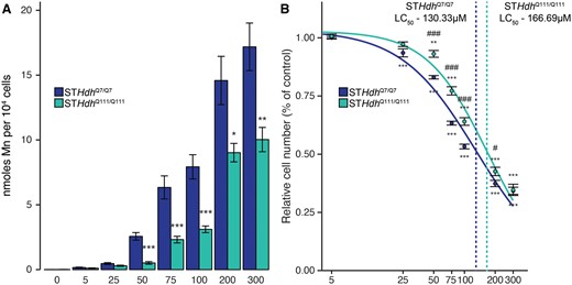 Effects on Mn uptake and cell number in 2 STHdh cell lines following 24-h exposure. A, µM Mn per 104 cells, calculated by cellular fura-2 manganese extraction assay. Mn concentration (µM) is indicated below respective bars. Combined from 3 independent experiments where n = 3–6, normalized to respective controls; total n per group 13. *p < .05, **p < .01, ***p < .001, by Student’s t test comparing STHdhQ7/Q7 and STHdhQ111/Q111 Mn uptake at each respective dose. B, µM concentrations of Mn reduce cell number in both wild-type (STHdhQ7/Q7) and HD (STHdhQ111/Q111) cell lines, quantified by loss of cell nuclear staining relative to control. Mn dose (µM) is indicated on the log10-transformed x-axis. Results combined from 8 independent experiments, n = 3–6; normalized to respective controls; total n = 32–36. **p < .01, ***p < .001, relative to control by Dunnett’s test. #p < .05, ###p < .001 by Student’s t test comparing STHdhQ7/Q7 and STHdhQ111/Q111 relative number at each respective dose. Error bars reflect SEM. The Benjamini-Hochberg method was used to correct for multiple comparisons.