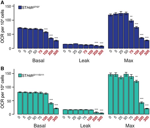 Subtoxic Mn exposures do not inhibit mitochondrial respiration. (A) STHdhQ7/Q7 and (B) STHdhQ111/Q111 basal, leak, and maximum mitochondrial oxygen consumption rates (OCR) (pmol/min) per 104 cells. Mn concentrations (µM), after 24 h exposure, are indicated below the respective bars. Concentrations in red reflect concentrations above which significant cytotoxicity is observed. Results combined from 3 independent experiments, n = 6; total n = 18. Error bars reflect SEM. **p < .01, ***p < .001, by Dunnett’s test relative to control for each measurement.