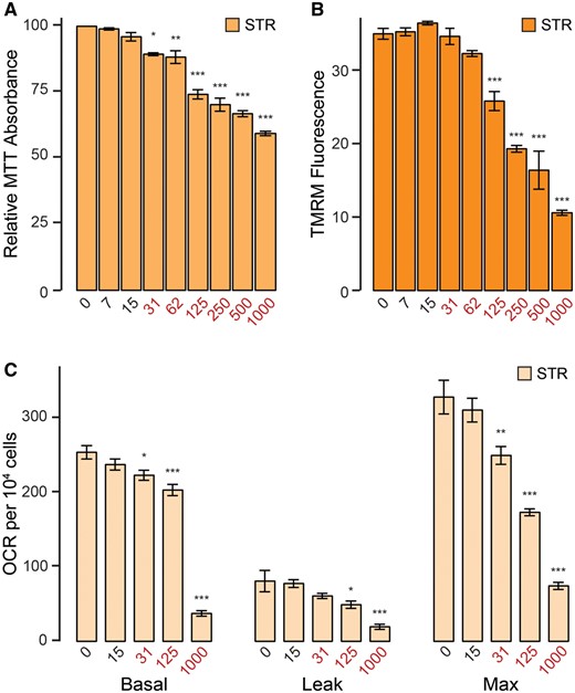 Mn exposures inhibit mitochondrial respiration in primary striatal cultures only at doses coincident with cytotoxicity. A, Relative MTT absorbance following 24-h Mn exposure. Results combined from 3 independent experiments. B, Tetramethylrhodamine methyl ester (TMRM) fluorescence (in arbitrary fluorescence units) following 24-h Mn exposure. Results combined from 3 independent experiments. C, Basal, leak, and maximum mitochondrial oxygen consumption rates (OCR) (pmol/min) per 104 cells. Results combined from 4 independent experiments. Mn concentration (µM) is indicated below respective bars. Concentrations in red reflect concentrations above which significant cytotoxicity is observed. Error bars reflect SEM. *p < .05, **p < .01, ***p < .001, by Dunnett’s test relative to control for each measurement. Abbreviations: MTT, (3-(4,5-dimethylthiazol-2-yl)-2,5-diphenyltetrazolium bromide); STR, striatum.