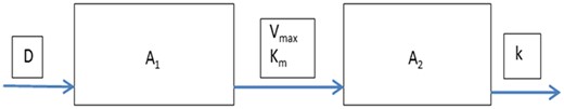 The basic compartmental model, with A1 reflecting the amount of the parent, and A2 the amount of one of its metabolites.