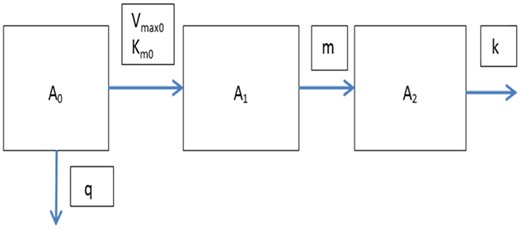The basic model extended with a gut compartment, with A0 reflecting the amount of the parent in the gut. Absorption is assumed to be subject to saturation described by Vmax0 and Km0. Further, excretion from the gut is assumed to be first order with rate parameter q.