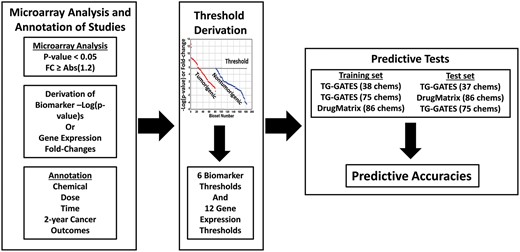 Strategy to identify toxicological thresholds and use them to predict liver cancer (see text for description).