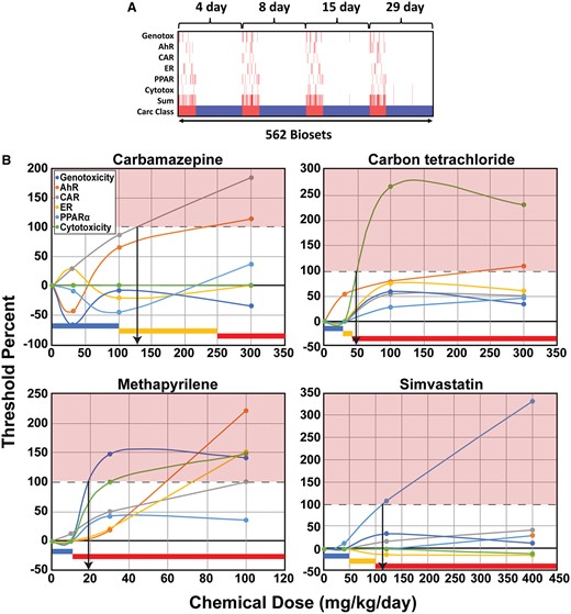 Relationships between time of exposure and thresholds for the 6 biomarkers. A, The heatmap shows the chem-dose-time exposures in which the biomarker −Log(p value)s surpassed the thresholds derived from TG-GATES training set across time of exposure in the entire TG-GATES study. The sum represents the sum of the number of thresholds exceeded. Carc Class: tumorigenic, red; nontumorigenic, blue. B, Relationships between dose, biomarker threshold levels, and liver tumorigenicity. Dose-dependent changes in the −Log(p value)s of each MIE relative to the derived threshold from the TG-GATES training set are shown. The threshold for each MIE was set at 100%. Biomarker changes at the 15-day time point were examined in these examples. The color bars at the bottom represent dose ranges from 2-year bioassays in male rats that for liver tumors were negative (blue), were positive (red), or were not known (yellow). The downward arrows were drawn from the intersection of the indicated biomarker with the 100% and indicate the lowest dose predicted to be tumorigenic. Abbreviations: AhR, aryl hydrocarbon receptor; CAR, constitutive activated receptor; ER, estrogen receptor; PPARα, peroxisome proliferator-activated receptor α.