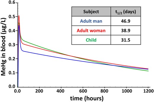 Time course of MeHg in blood after a single dose. Model simulation of blood MeHg levels resulting from a single dose equivalent the USEPA reference dose (0.7 µg/kg BW/week), administered to a man (blue), woman (red), and child (green). Model was run using parameter values in Table 1. Half-life (t1/2) values for each condition are in the inset.