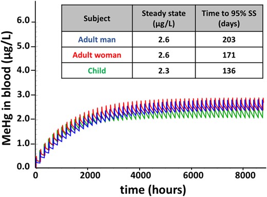 Time course of MeHg in blood after repeated doses. Model simulation of blood MeHg levels resulting from repeated weekly doses for 1 year, with the unit dose equivalent to the EPA reference dose (0.7 µg/kg BW/week), administered to a man (blue), woman (red), and child (green). Model was run using parameter values in Table 1. Steady-state blood concentrations and time to 95% steady state (SS) are indicated in the inset.