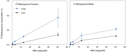 O6-Methylguanine in liver and lung DNA of female and male rats treated with NNK by nose-only inhalation for 14 days. Tissues were collected on day 15 for measurement of O6-methylguanine in liver and lung. The target NNK dose levels were 0 mg/kg BW (Vehicle Control), 0.8 mg/kg BW (Low), 3.2 mg/kg BW (Mid), 12.5 mg/kg BW (Mid High), and 50 mg/kg BW (High).