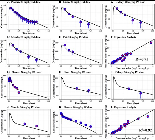 Calibration of the PBPK model for OTC in sheep and goats. Comparison of model predictions (solid line) and observed data (blue circles) for concentrations of OTC in the plasma (A), liver (B), kidney (C), muscle (D), and fat (E) of sheep exposed to a long-acting OTC formulation at 20 mg/kg IM dose, and in the plasma (G), liver (H), kidney (I), and muscle (J) of goats exposed to a long-acting OTC formulation at 20 mg/kg IM dose. Panel (K) expresses comparisons between simulation results and observed data following a single IV dose at 10 mg/kg in goats. Panels (F) and (L) show the regression analysis results and the goodness of fit for sheep (R2 = 0.95) and goats (R2 = 0.92). Observed data for panels (A–F) in sheep are collected from Craigmill (2003), panels (G), (H-J), and (K) from Turel et al. (2005), Payne et al. (2002), and Escudero et al. (1994), respectively. Abbreviations: IM, intramuscular; IV, intravenous; PBPK, physiologically based pharmacokinetic; OTC, oxytetracycline; R2, determination coefficient.