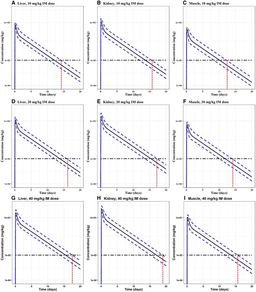 Monte Carlo simulation results for OTC concentrations in goats. Commonly used extralabel doses (single IM dose at 10, 20, and 40 mg/kg) were simulated. Each of the simulations was run for 1000 iterations. The median, 1th and 99th percentiles of simulated results were plotted. Monte Carlo analysis results in the liver, kidney, and muscle are shown in Panels A-C for 10 mg/kg, D-F for 20 mg/kg, and G-I for 40 mg/kg. We presented a horizontal line along the limit of detection (LOD) 0.01 ppm for goats. The intersection between the x-axis and the red vertical line shows the time taken for that specific tissue's OTC concentration to go below the LOD for the 99th of the simulated 1000 animal population.