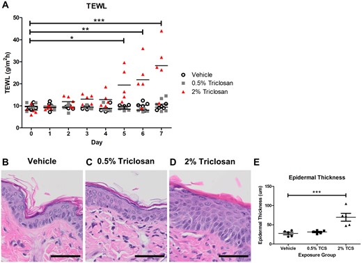 Repeated dermal exposure to triclosan disrupted the skin barrier integrity of mice. A, Transepidermal water loss (TEWL) of mouse skin throughout exposure to either vehicle or triclosan (0.5% and 2%). Points represent individual mice and bars represent mean of 5 mice/group. *p < .05, **p < .01, ***p < .001 versus day 0, by repeated measures analysis of variance (ANOVA) with Dunnett’s multiple comparison test. Representative hematoxylin and eosin images of dorsal skin following exposure to vehicle (B), 0.5% triclosan (C), or 2% triclosan (D). Scale bar = 50 µm. E, Epidermal thickness following dermal exposure to vehicle or triclosan (TCS, 0.5%, 2%). Points represent individual mice and bars represent the mean (± SEM) of 5 mice/group. ***p < .001 versus vehicle, by 1-way ANOVA with Dunnett’s multiple comparison test.