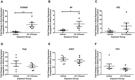 Seven days of dermal exposure to triclosan increased the expression of genes involved in the immune response. Fold change in expression compared with vehicle control of (A) S100a8, (B) Il4, (C) Il22, (D) Tslp, (E) Cdh1, and (F) Tlr4 following 7 days of dermal exposure to vehicle or 2% triclosan on mice. Points represent the individual mice and bars represent the mean (± SEM) of 6 mice/group. *p < .05, **p < .01 versus vehicle, by unpaired t test.
