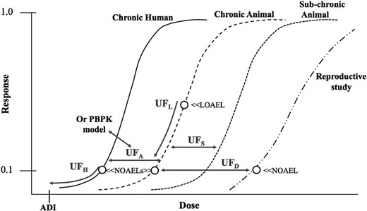 Areas of uncertainty to consider in non-cancer dose response assessment.