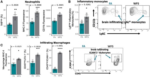 Infiltrating immune cells in the brain following WFPM exposure. A, Increased frequency of mature neutrophils (with high expression of 1A8), along with overall increase in MHC-II and CD11b surface expression of all CD45+1A8+ neutrophils in the brain due to WFPM exposure. B, Inflammatory monocytes in the brain were increased in frequency with WFPM exposure. C, CNS infiltrating CD45highCD11b+ macrophage/monocyte population shows increased MHC-II expression and frequency of LFA-1+ and ICAM-1+; peripheral leukocytes were also increased due to WFPM exposure, n = 4–5 independent samples, left hemisphere homogenate; 2-tailed t test; mean and SEM are shown.