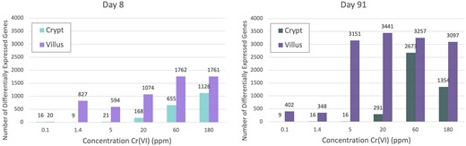 Bar charts showing the number of differentially expressed genes per treatment group in each tissue compartment at days 8 and 91.