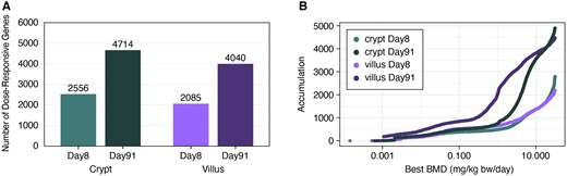 A, Number of significantly dose-responsive genes (fit p value ≥ .1) per tissue compartment and timepoint. B, Accumulation plot of best benchmark doses among significantly dose-responsive probes.