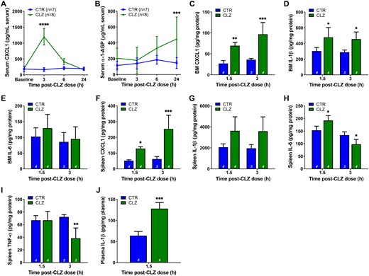 Clozapine causes an acute increase in blood- and tissue-derived proinflammatory mediators. A and B, Serum concentrations of CXCL1 (A) and α-1-AGP (B) over a 24-h period following a single dose of clozapine (30 mg/kg, IP) in female Sprague Dawley rats (ANOVA with Holm-Sidak’s multiple comparison test). C–E, Bone marrow concentrations of CXCL1 (C), IL-1β (D), and IL-6 (E) at 1.5 and 3 h post clozapine (ANOVA with Holm-Sidak’s multiple comparison test). F–I, Spleen concentrations of CXCL1 (F), IL-1β (G), IL-6 (H), and TNF-α (I) at 1.5 and 3 h post clozapine (ANOVA with Holm-Sidak’s multiple comparison test). (J) Plasma concentrations of IL-1β at 1.5 h post-clozapine (Student’s t test). Inflammatory mediators were quantified using commercially available ELISAs. CTR, control; CLZ, clozapine; BM, bone marrow; *, p < .05; **, p < .01; ***, p < .001; ****, p < .0001.