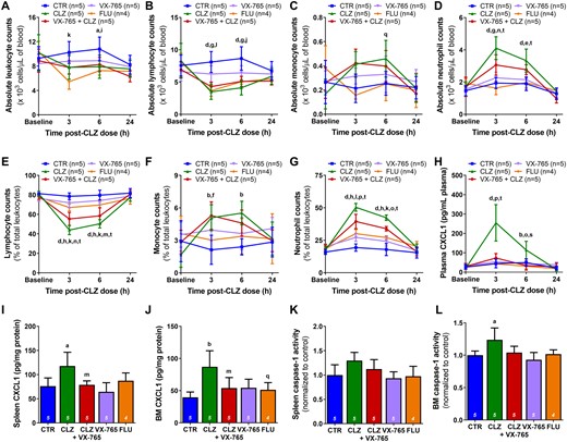 Caspase-1 inhibition attenuates the proinflammatory response induced by clozapine. A–D, Absolute leukocyte (A), lymphocyte (B), monocyte (C), and neutrophil (D) counts, presented as 103 cells/μl of blood, in female Sprague Dawley rats over 24 h following treatment with vehicles (control), clozapine (30 mg/kg, IP), fluperlapine (28.4 mg/kg, IP), the caspase-1 inhibitor VX-765 (50 mg/kg, oral gavage), or VX-765 and clozapine (2-way ANOVA with Holm-Sidak’s multiple comparison test). E–G, Corresponding lymphocyte (E), monocyte (F), and neutrophil (G) counts, presented as a percentage of total leukocytes (2-way ANOVA with Holm-Sidak’s multiple comparison test). Differential blood counts were determined using a VetScan HM5. (H) Plasma concentrations of CXCL1 up to 24 h post-clozapine administration (2-way ANOVA with Holm-Sidak’s multiple comparison test). I and J Spleen (I) and bone marrow (J) concentrations of CXCL1 at 24 h post clozapine administration (1-way ANOVA with Holm-Sidak’s multiple comparison test). Inflammatory mediators were quantified using commercially available ELISAs. K and L Spleen (K) and bone marrow (L) caspase-1 activity at 24 h post clozapine administration, normalized to control values (1-way ANOVA with Holm-Sidak’s multiple comparison test). Caspase-1 activity was quantified using an Abcam fluorometric Caspase 1 Assay Kit. CTR, control; CLZ, clozapine; FLU, fluperlapine; BM, bone marrow; a, p < .05; b, p < .01; d, p < .0001 (CTR vs CLZ); e, p < .05; f, p < .01; g, p < .001; h, p < .0001 (CTR vs VX-765 + CLZ); i, p < .05; j, p < .01; k, p < .001; l, p < .0001 (CTR vs FLU); m, p < .05; n, p < .01; o, p < .001; p, p < .0001 (CLZ vs VX-765 + CLZ); q, p < .05; s, p < .001; t, p < .0001 (CLZ vs FLU).