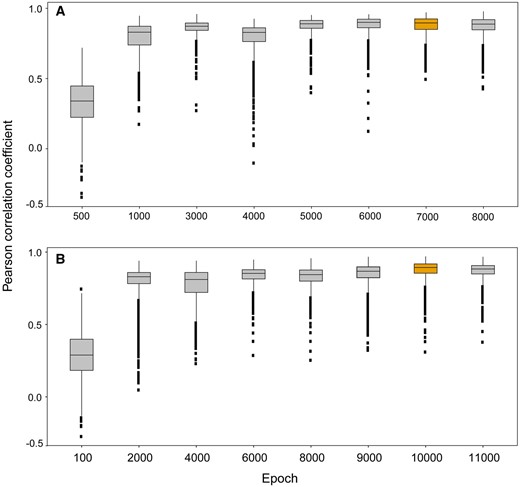 The optimization of Tox-generative adversarial network (GAN) models. The Pearson correlation coefficient between the generated transcriptomic profiles and their corresponding real ones in training set across different training epochs for (A) Tox-GANintensity and (B) Tox-GANfoldchange, respectively. The training epochs corresponding to optimized Tox-GAN models were highlighted in yellow color.