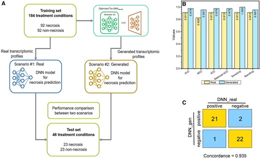 Tox-generative adversarial network for Biomarker Development: (A) 2 scenarios of biomarker development for necrosis were constructed, where scenario No. 1 used the real data, whereas scenario No. 2 was the generated data. In both scenarios, the same 230 treatment conditions were divided into the training and test sets with a ratio of 8:2. For each scenario, a deep neural network (DNN) model was developed which was further evaluated with the test set. B, The performance metrics of the developed DNN models on the test set for both scenarios, where the light yellow and blue colors represent scenarios No. 1 (ie, DNN with real transcriptomic profiles) and No. 2 (ie, DNN with generated transcriptomic profiles), respectively. C, The 2 × 2 contingency matrix compared predictions of 2 scenarios where the predicted probabilistic values of 0.5 separated positives (necrosis) from negatives (no necrosis).