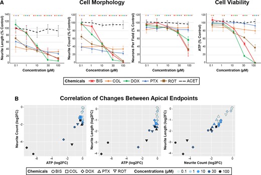 Effects of neurotoxic chemicals on cell morphology and viability in human-induced pluripotent stem cell (hiPSC)-neurons. A, hiPSC-neurons were exposed to 0.1–100 µM of 6 chemicals (color coded figure legend) for 24 h and analyzed for cell morphology and viability endpoints via automated imaging analysis (neurite length, neurite count, and neurons per field) and ATP analysis, respectively. Data are presented as mean ± SD, with color-coded asterisks * denoting significant changes compared with vehicle control (Dunnett’s test, p < .05). Adapted with permission from Cohen and Tanaka (2018). B, The changes in cell morphology and viability endpoints were assessed for the correlation across endpoints using Pearson’s correlation analysis. Each correlation plot represents log2 fold changes of the different apical endpoints on each axis, and correlation coefficient (r values) and significance (p values) were included within each data plot. Each chemical and concentration were denoted with a different shape or color, respectively.